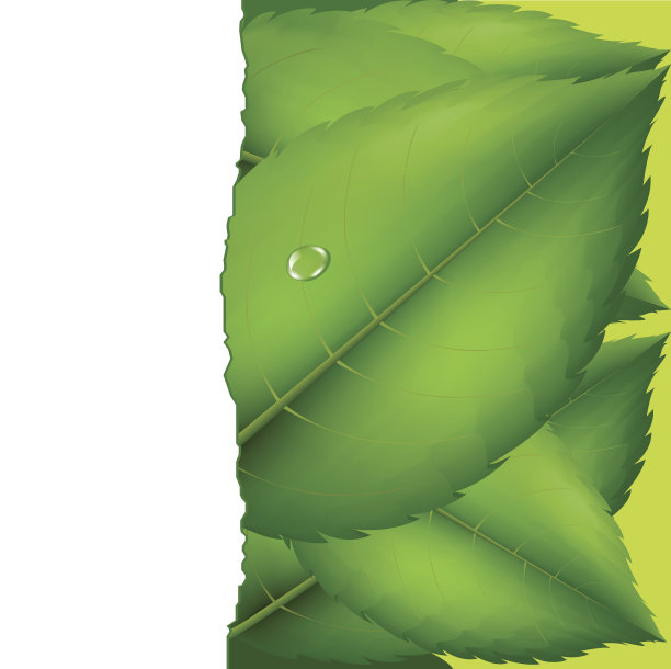 春季销售海报图片下载