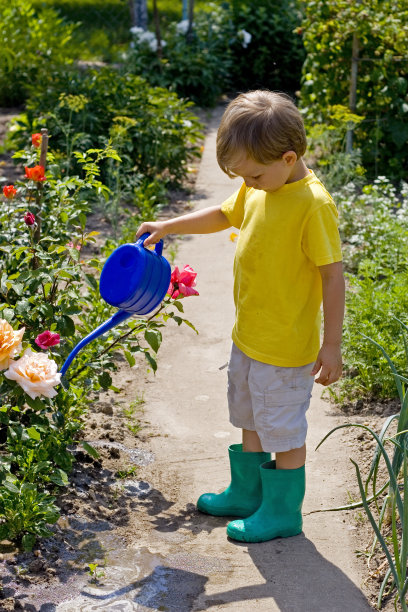 男孩在花园图片下载