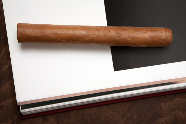 雪茄放在书上。图片下载