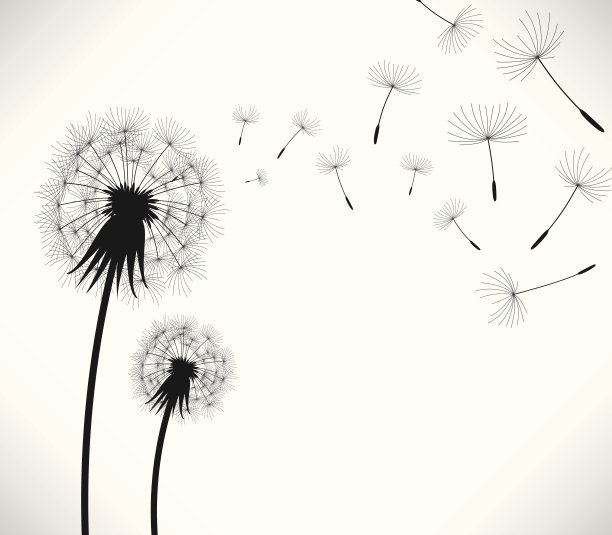 蒲公英风吹花图片下载