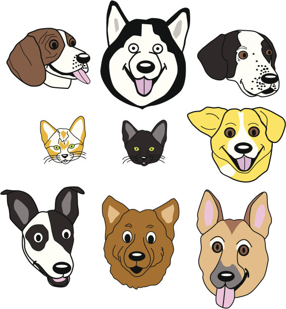 快乐宠物的脸图片下载