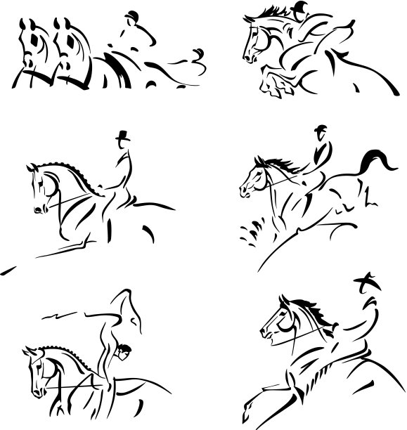 马术素材图片