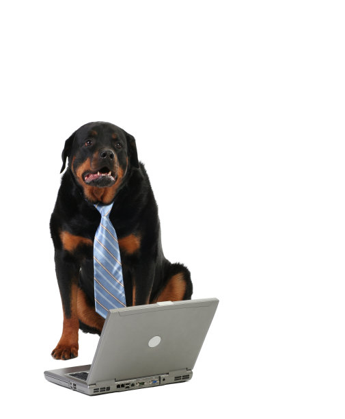 笔记本电脑和狗图片下载