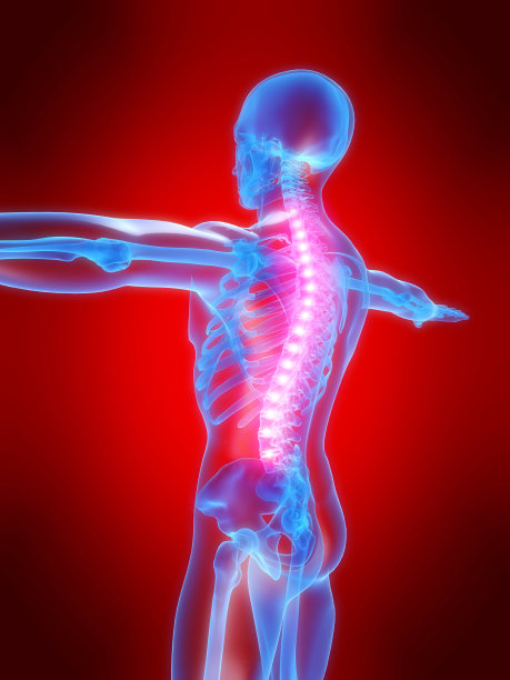 背痛插图图片下载