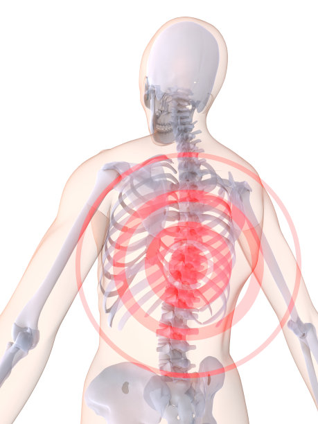背痛插图图片下载