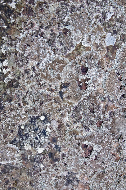 枯燥乏味的背景图片下载