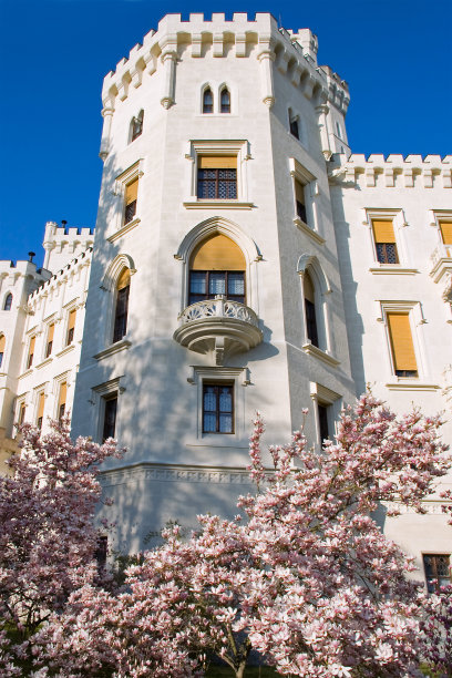 城堡在春天图片下载