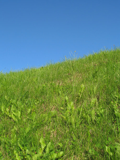 夏天的颜色图片下载