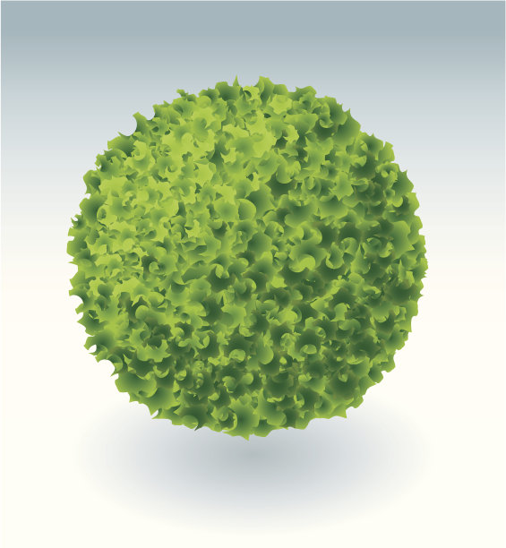 绿色球体。图片下载