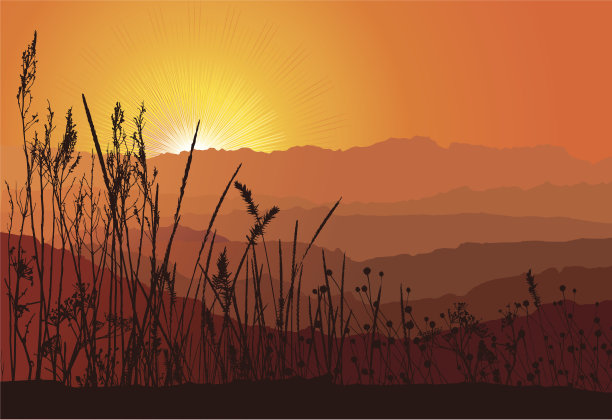 美丽的日落在山与草的剪影/向量图片下载