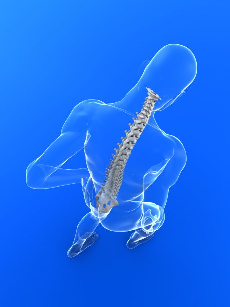 背痛插图图片下载