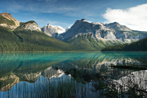 加拿大落基山脉Yoho国家公园的翡翠湖图片下载