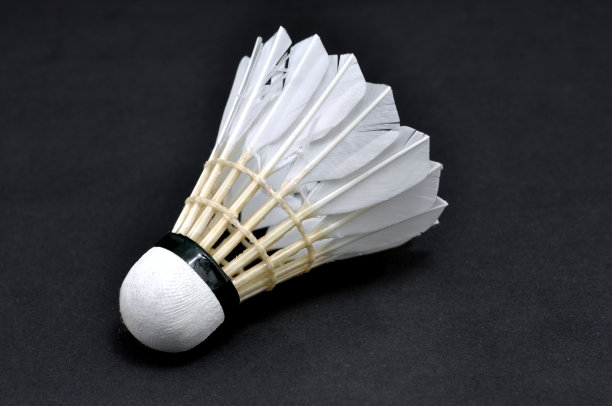 羽毛球图片下载