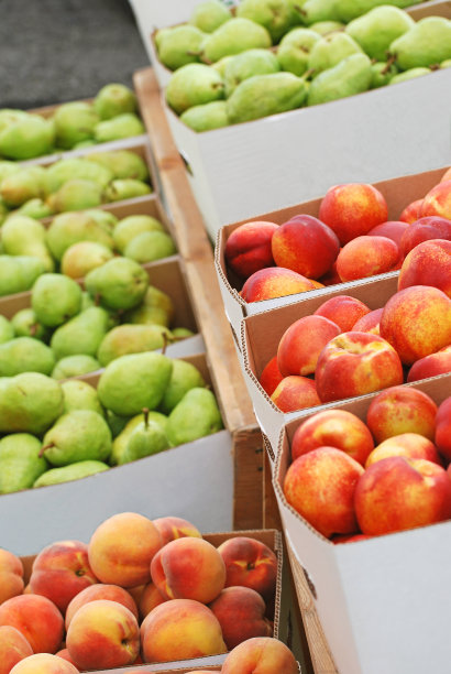 水果在盒子里图片下载