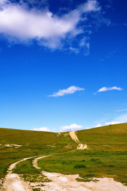 你要去哪儿!图片下载