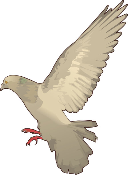 色在哪里图片下载