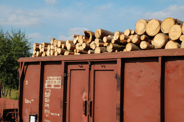 路上的木头图片下载