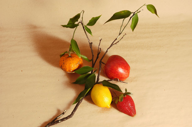 长在同一枝上的果实图片下载