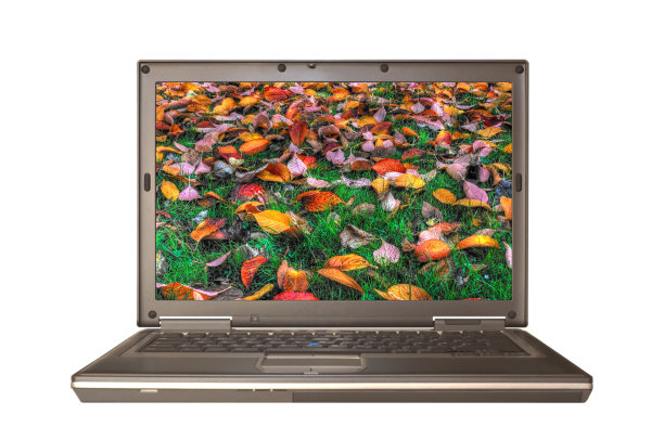 笔记本电脑的秋叶图片下载