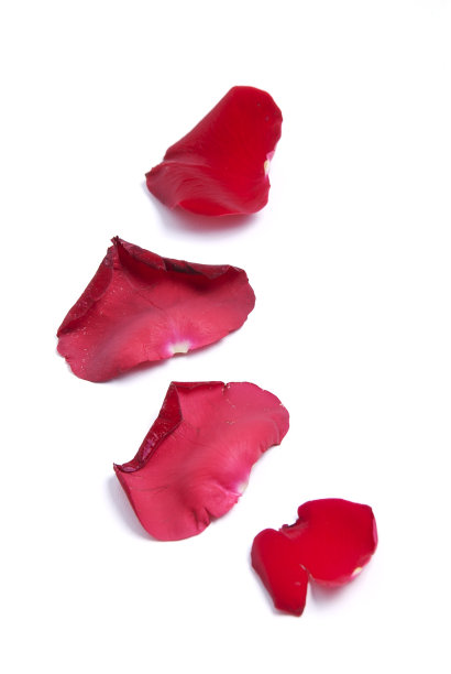 红色的花瓣图片下载