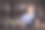 男孩和他的玩具图片下载