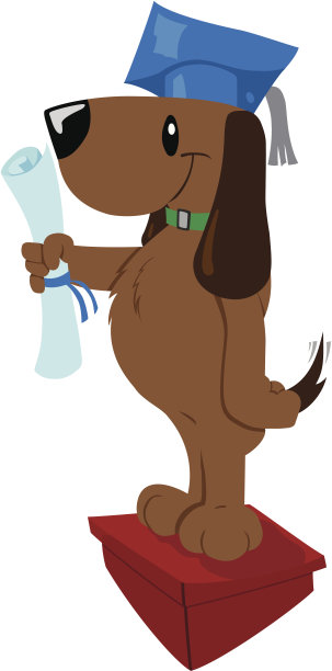 毕业的狗图片下载