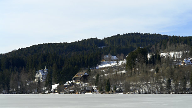 湖Titisee图片下载