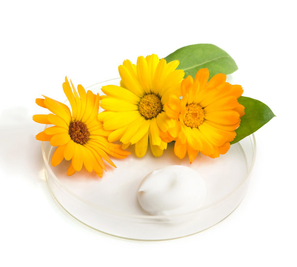 天然的化妆品图片下载