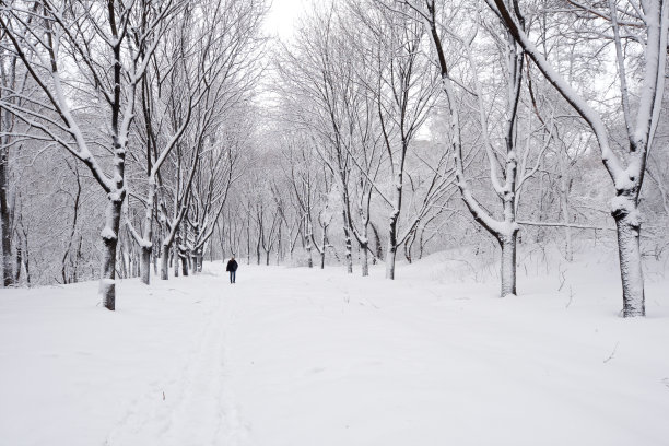 欧洲的雪公园图片下载