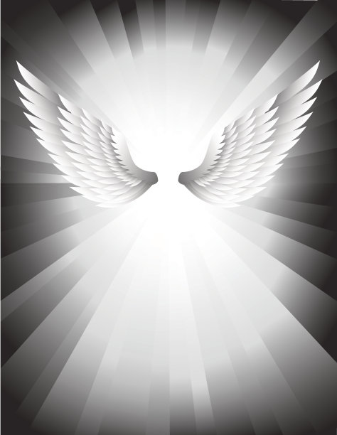 天使的翅膀图片下载