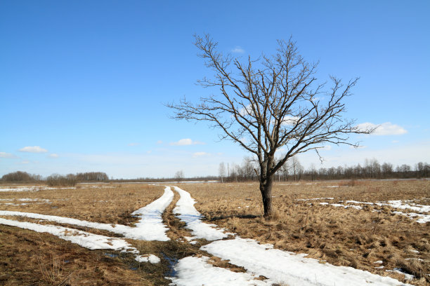 雪地上的路图片下载