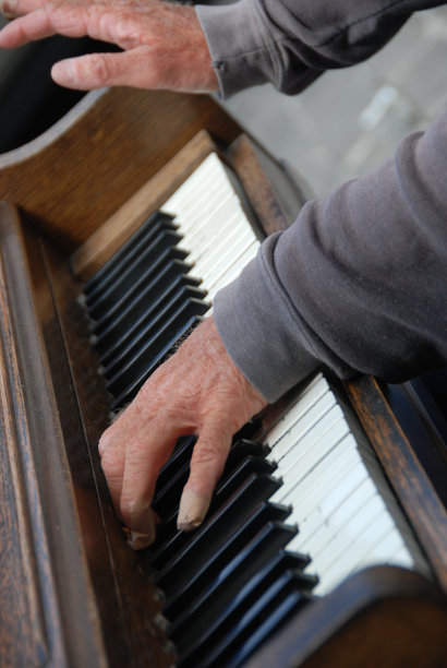 钢琴手-卧式图片下载