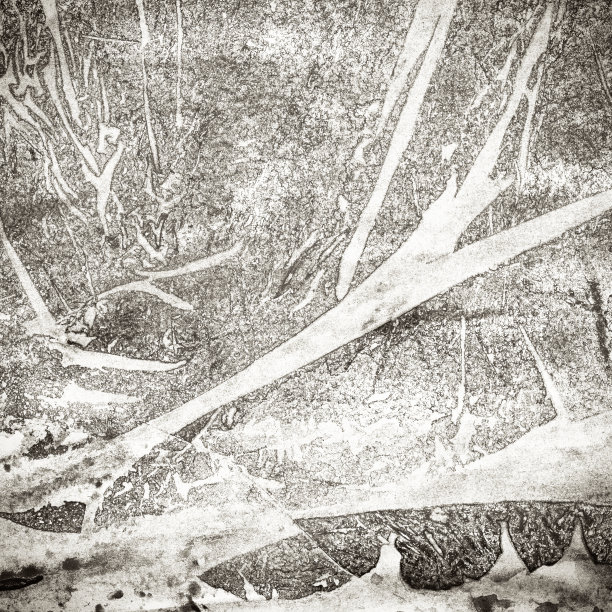 抽象的黑白背景图片下载