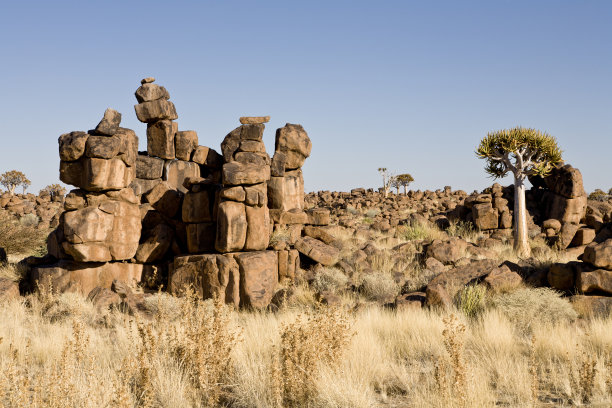 巨人操场图片下载