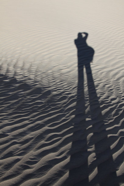 摄影师的影子图片下载