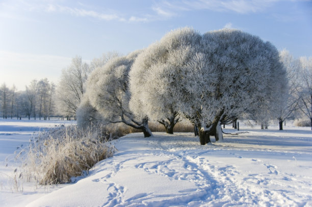 冬天的心情图片下载