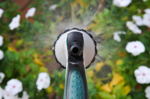 植物被浇水图片下载