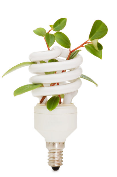 节能灯与绿色的幼苗在白色图片下载