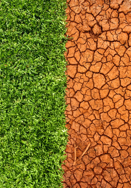 草地和龟裂的沙漠沙子图片下载