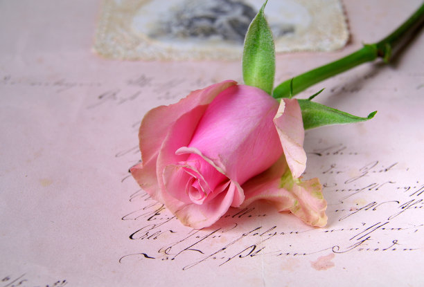 古董信上的玫瑰图片下载