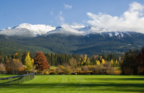 雪来了图片下载