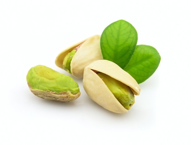 新鲜开心果叶素材图片