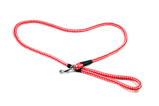 我爱我的狗图片下载