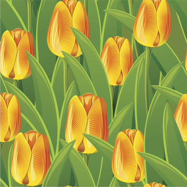 无缝的郁金香图片下载