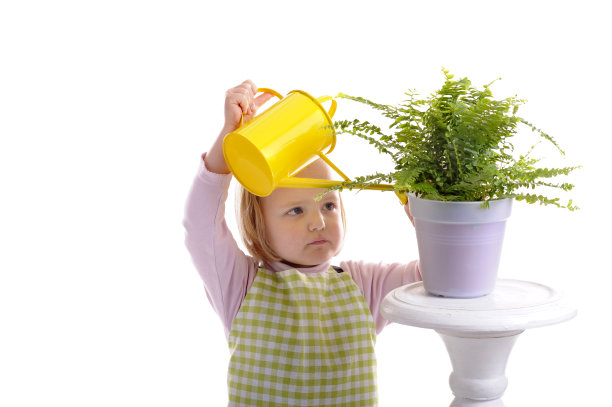 园艺小女孩在给植物浇水图片下载