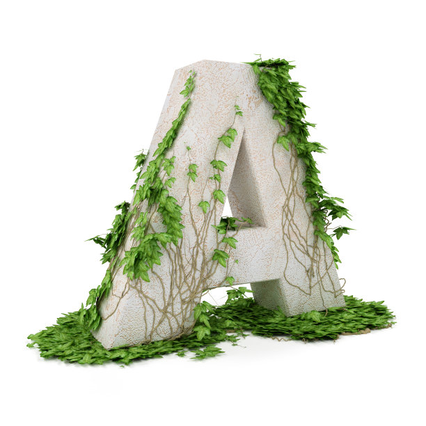 常春藤字母A孤立在白色背景上。图片下载