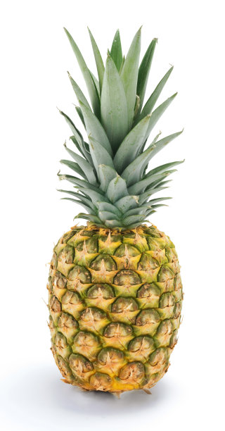 菠萝图片下载