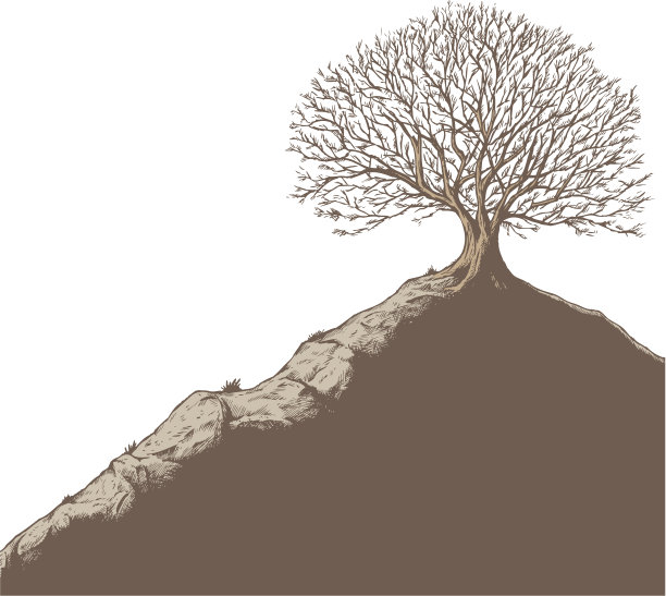 小山上的树图片下载