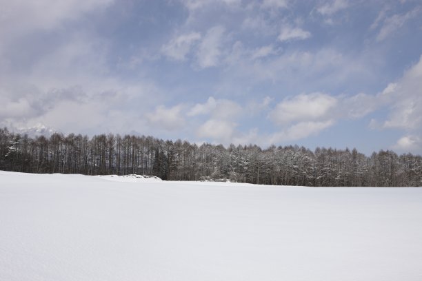 雪的风景。图片下载