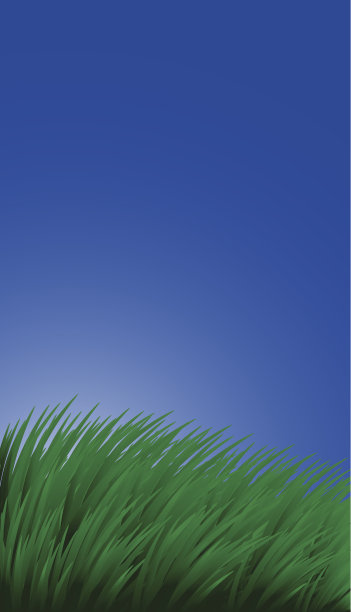 背景草和天空图片下载